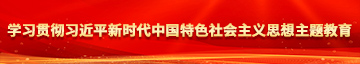 操女人的骚逼视频学习贯彻习近平新时代中国特色社会主义思想主题教育